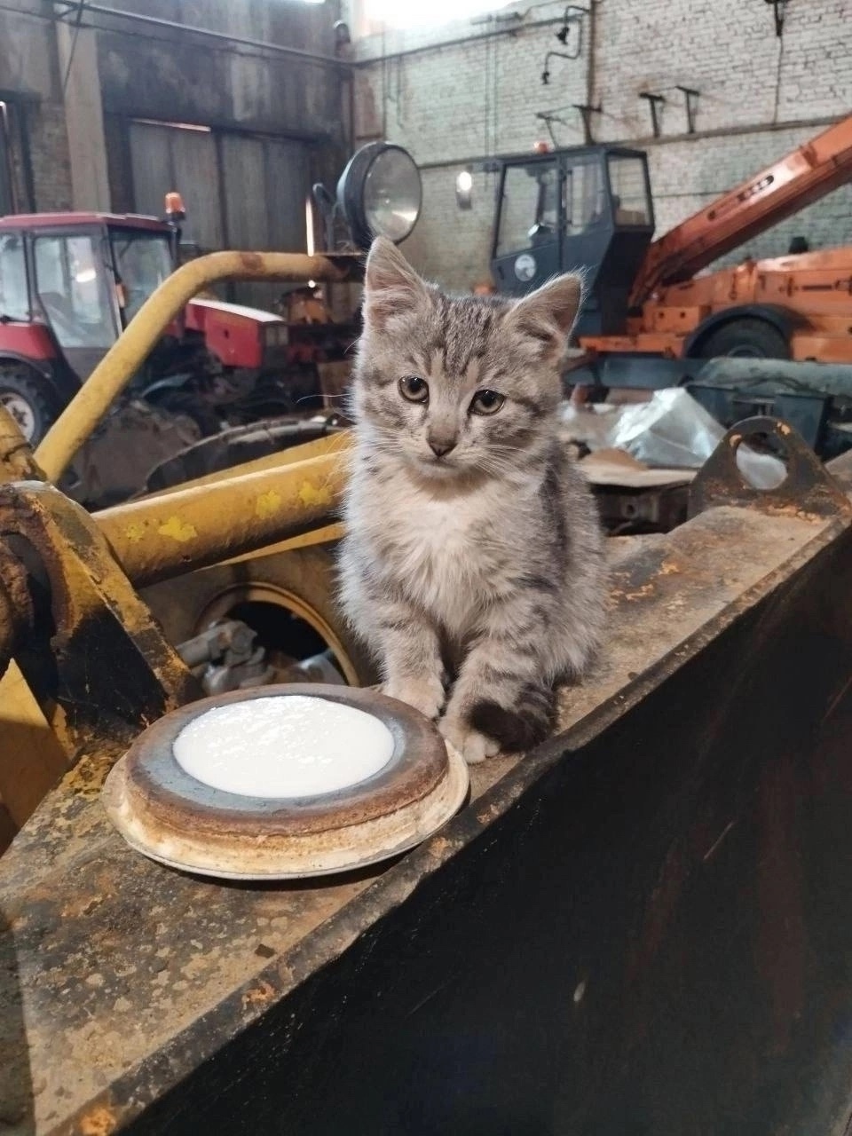 На них держится весь завод, а вместе с ним — и вся страна.