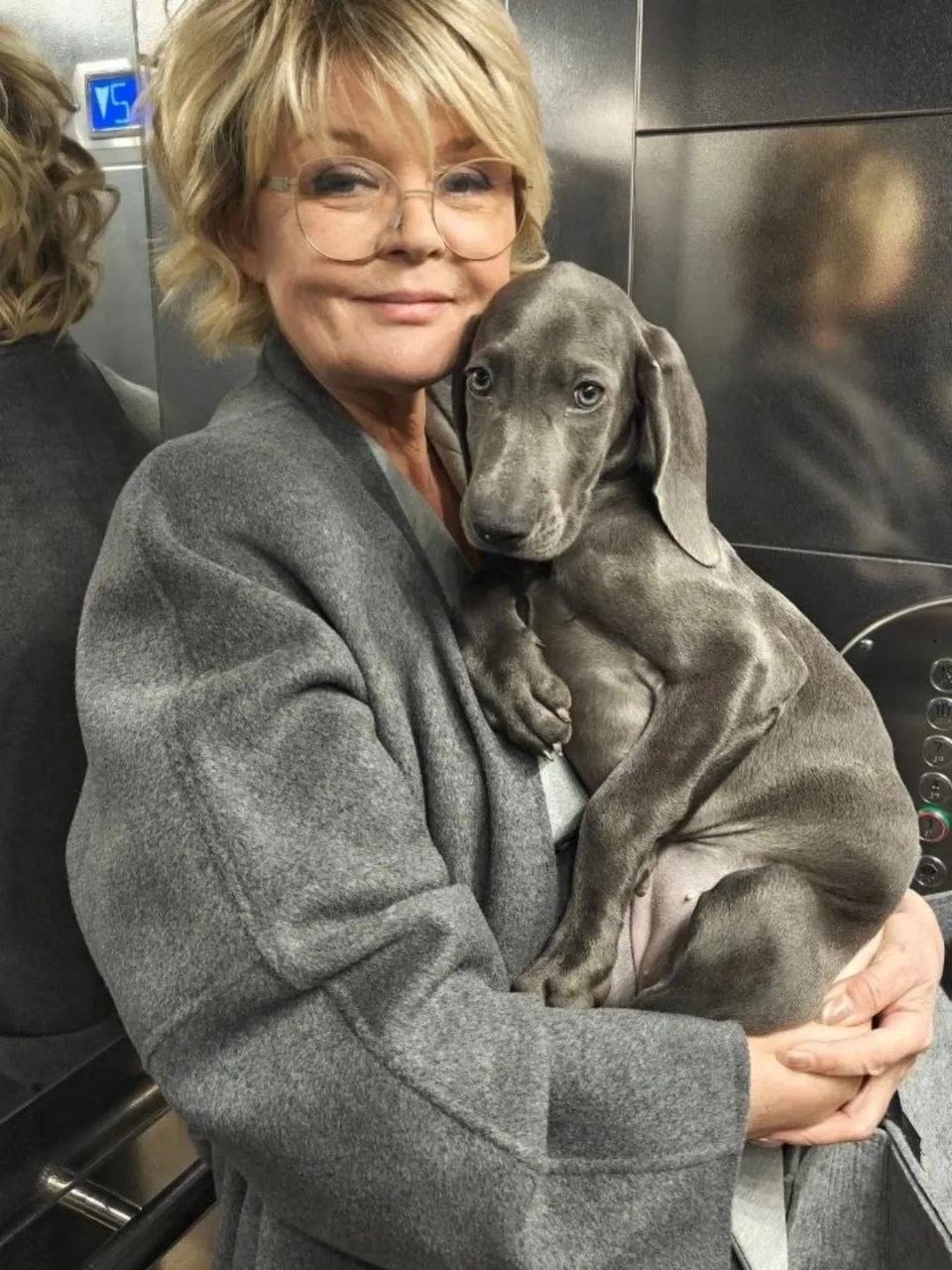 Юлия Меньшова решила порадовать своих поклонников забавным сравнением с домашним любимцем! На свежих фотографиях, сделанных в ли…